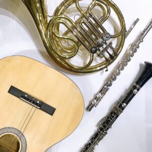 There are many types of instruments available, for instance, violin, tuba, flute and clarinet, etc.
