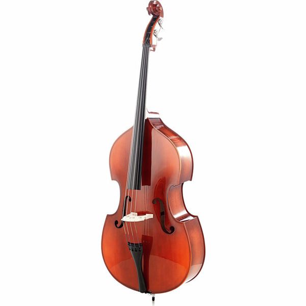 This is a double bass, it's the largest in the violin and string family!