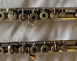 HKSFI2026SupportedBy